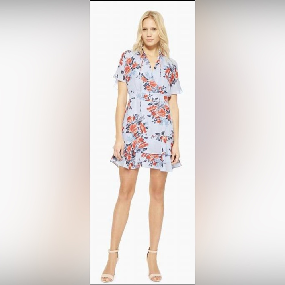 PARKER - The Natalie Dress size 4